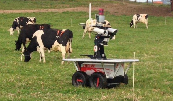 Rover — робот-фермер из Австралии