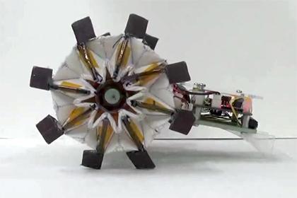 Колеса-оригами для роботов