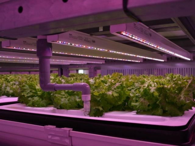 Японцы используют роботов для выращивания растений