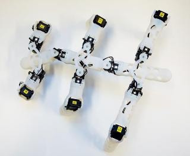 Ученые из Осло создали уникальных роботов при помощи 3d-принтера
