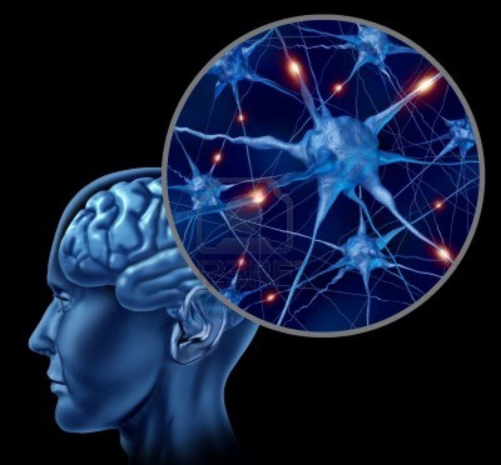 Обновленная теория обучения нейронной сети