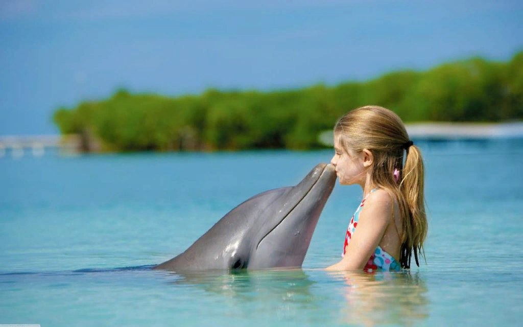 Словарь дельфинов: использование технологий для перевода их языка.